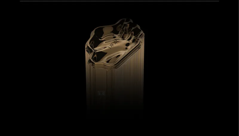 piiiz twisted memory dior cover